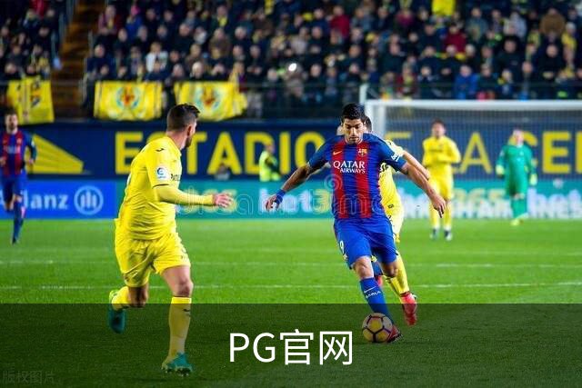 PG官网 公司简介